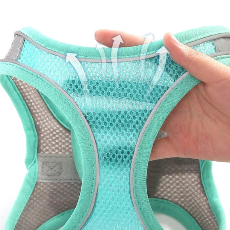 Dog Harness and Leash Set: Adjustable No-Choke Vest for Small Dogs & Cats