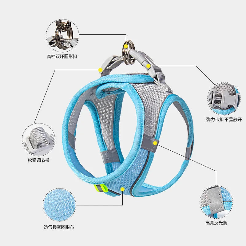Dog Harness and Leash Set: Adjustable No-Choke Vest for Small Dogs & Cats