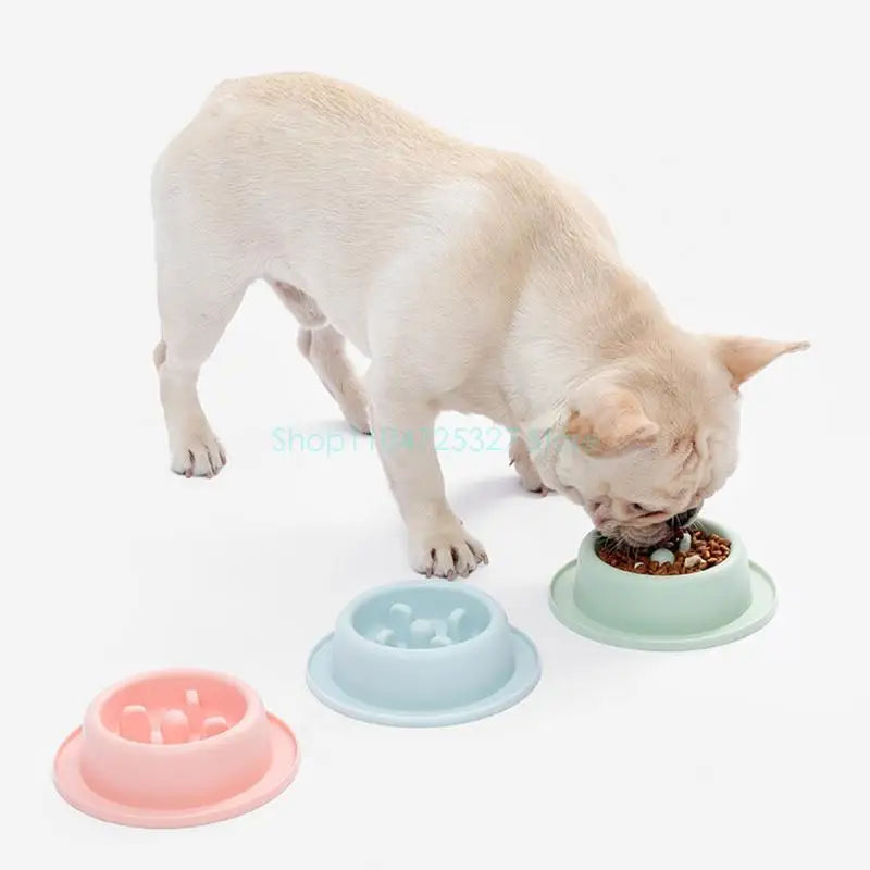 Bloat-Stop Slow Feeder Dog Bowl - Non-Slip Fun Round Eating Dish