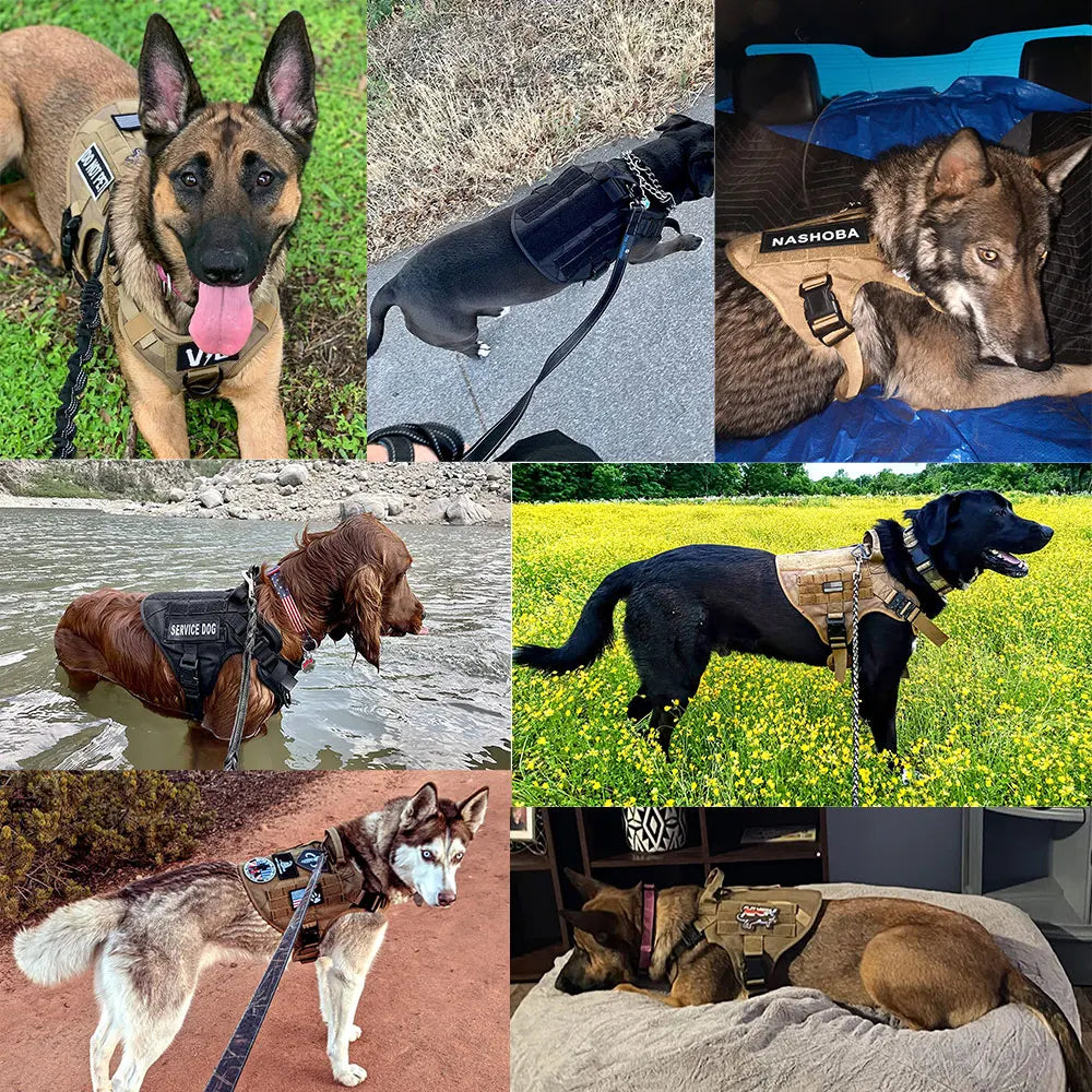 Military Tactical Dog Harness: Heavy-Duty Training Vest for German Shepherds