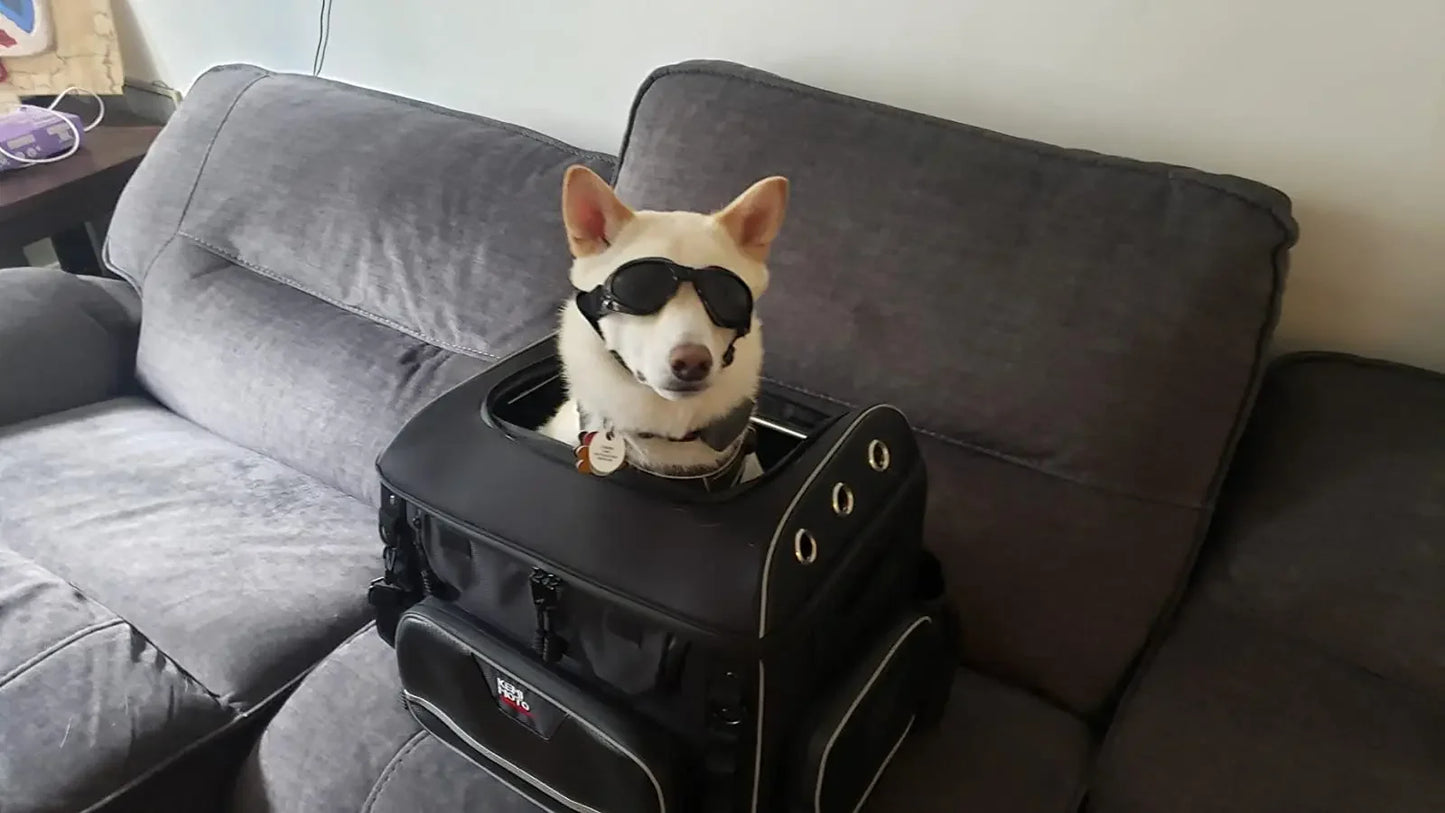 Motorcycle Pet Carrier Bag – Dog & Cat Carrier for Harley Touring, Street Glide, Road King & Trike Models