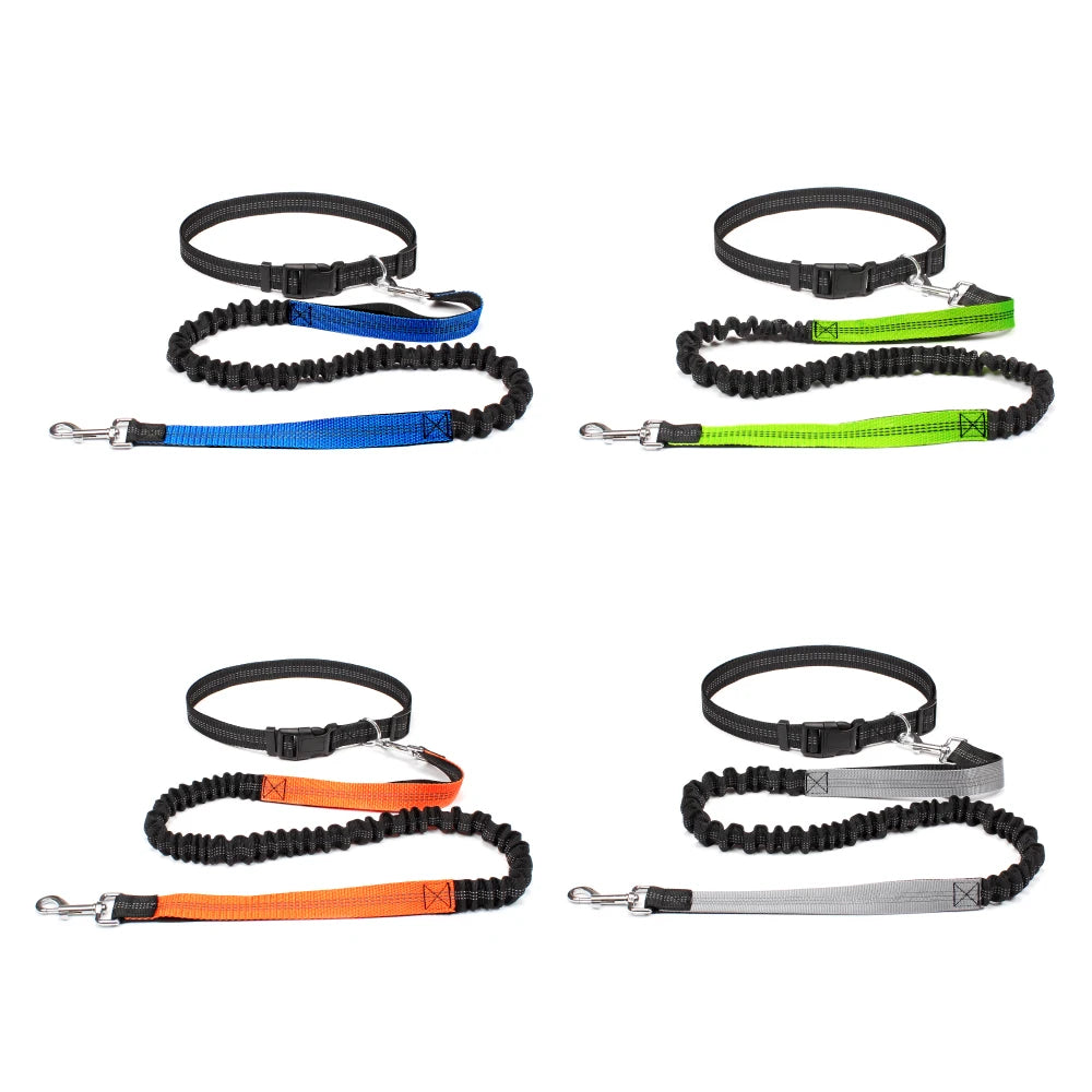 Hands-Free Dog Leash with Waist Belt - Adjustable Running & Jogging Lead