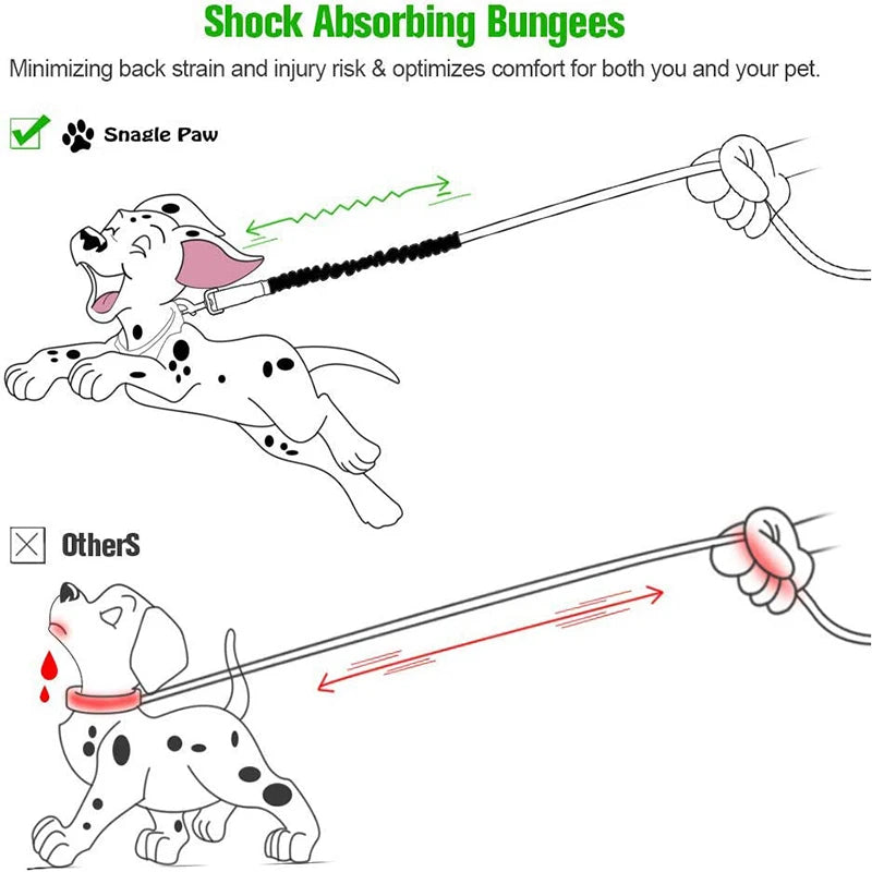 Adjustable Dog Leash Extension - Durable Extendable Lead for Small & Medium Dogs