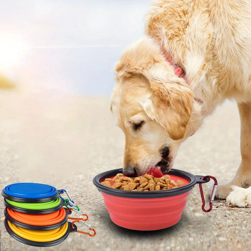 Collapsible Travel Dog Bowl with Lip - Portable Silicone Food & Water Dish