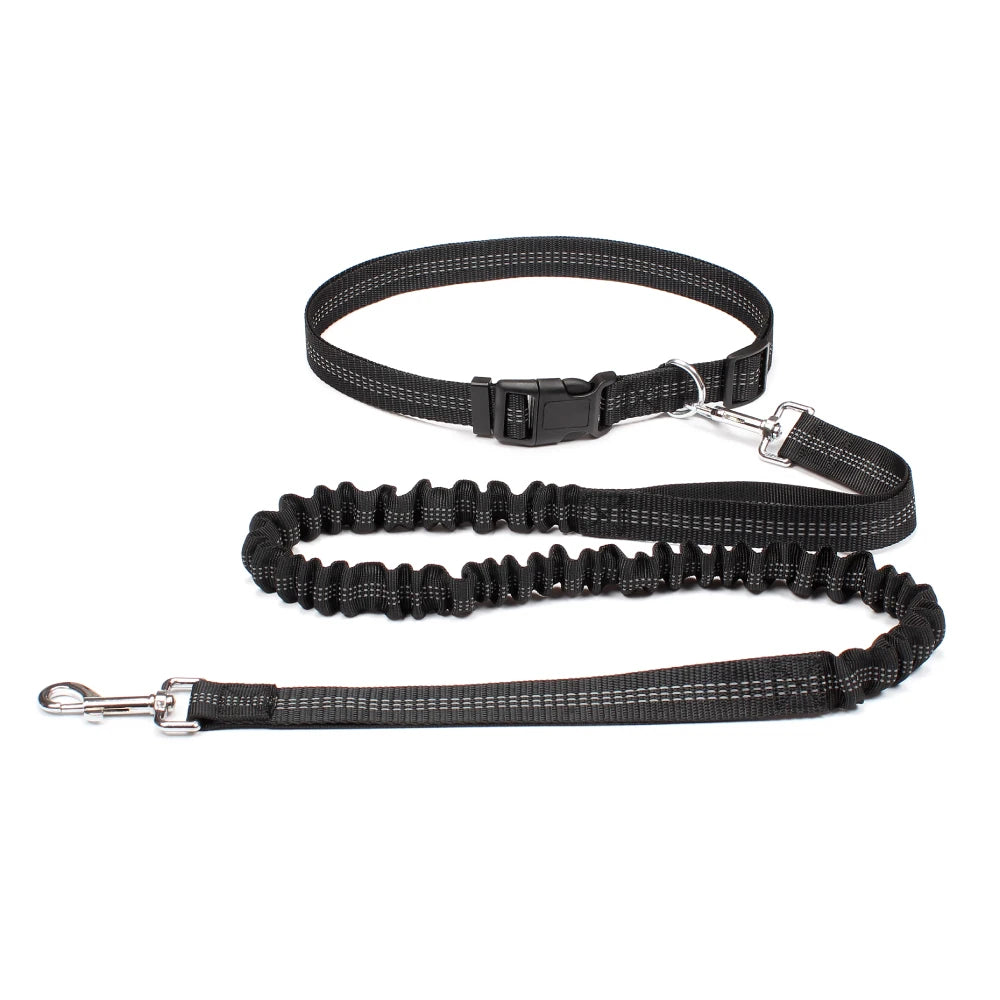 Hands-Free Dog Leash with Waist Belt - Adjustable Running & Jogging Lead