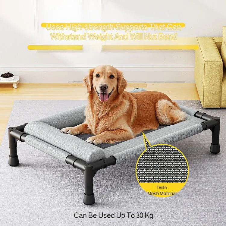 Elevated Pet Floor-Off Bed | Breathable Mesh Waterproof Dog Cot