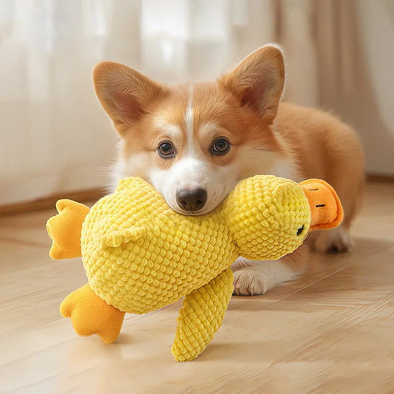 Interactive Plush Squeak Doll - Tough Toy for Cats & Dogs