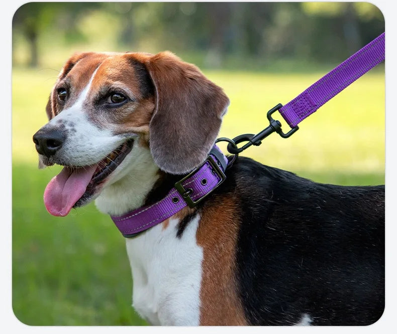 Reflective Padded Dog Collar - Heavy Duty Nylon & Neoprene