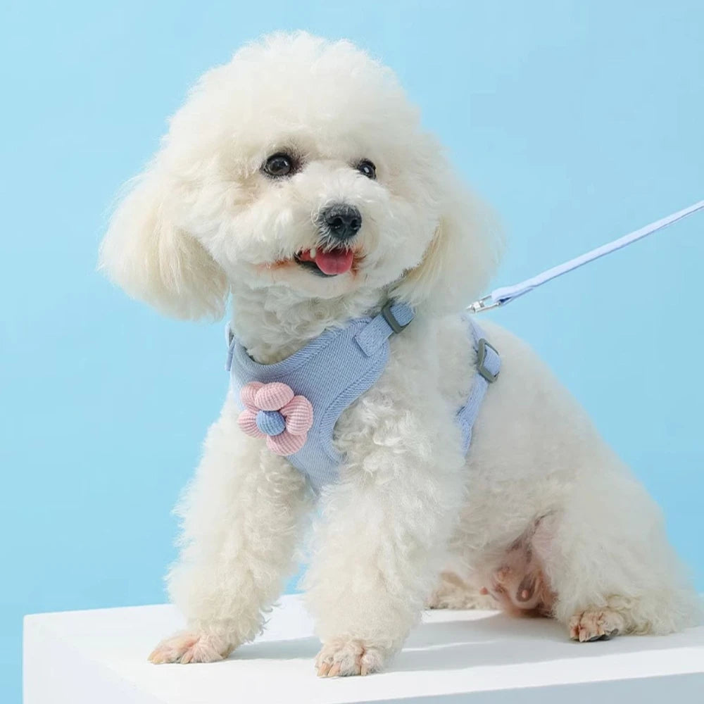 Small Dog Harness and 1.5m Leash Set: Adjustable Step-In Vest