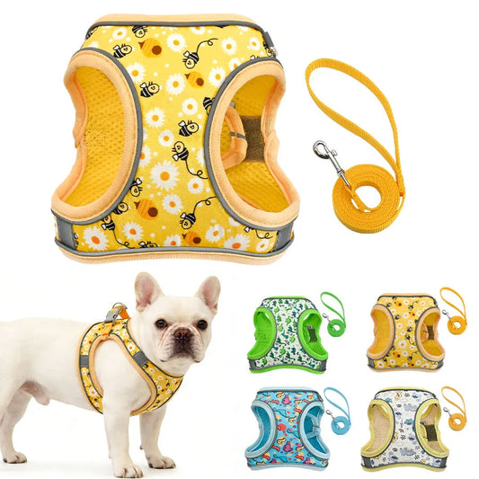 DH009 Cartoon Dog Harness and Leash Set: Breathable Honeycomb Mesh Vest