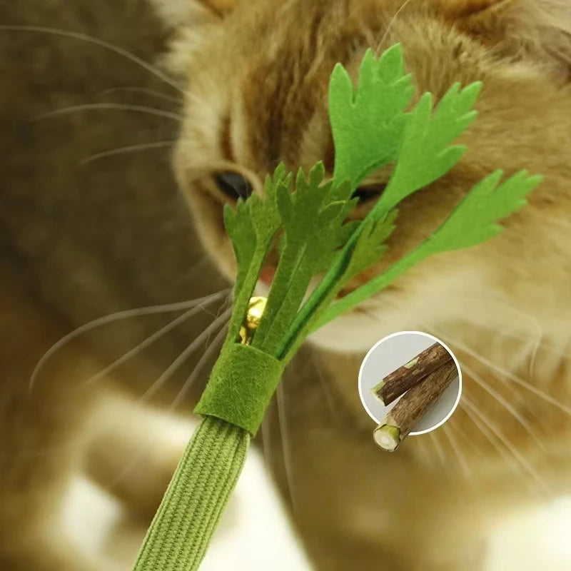 Catnip Cat Chew Toy – Interactive Teeth Cleaning Molar Stick for Cats & Kittens