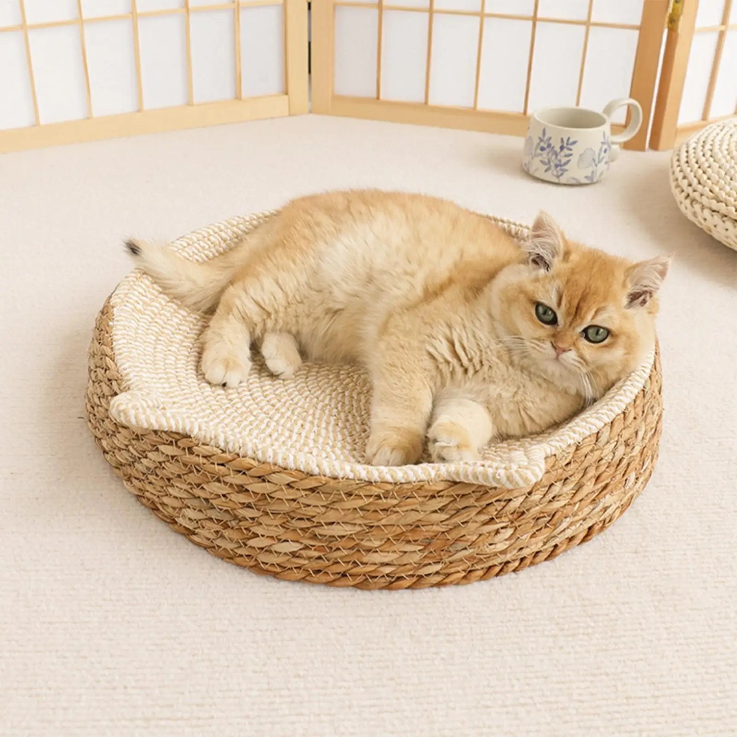 Natural Rattan Woven Cat Bed Sofa – Wear-Resistant Scratch Board Lounge