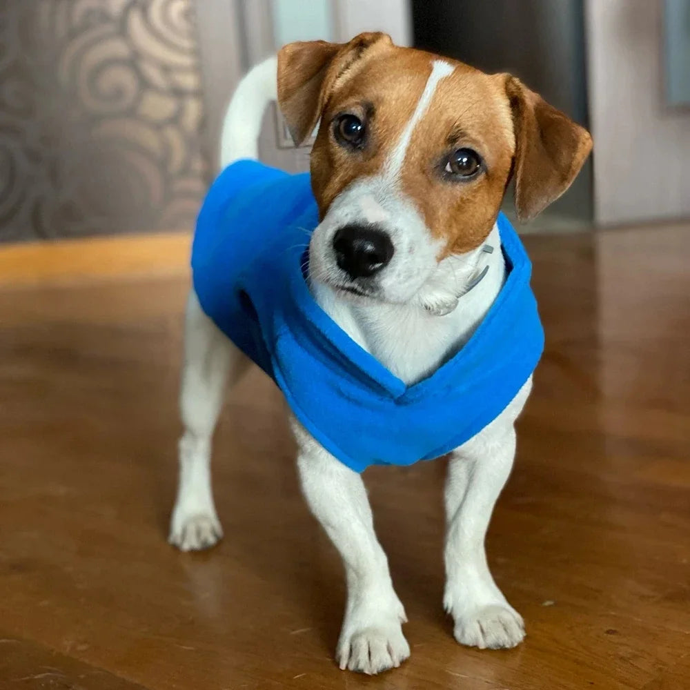 Winter Fleece Dog Jacket with Harness D-Ring - Warm Step-In Vest for Small Dogs