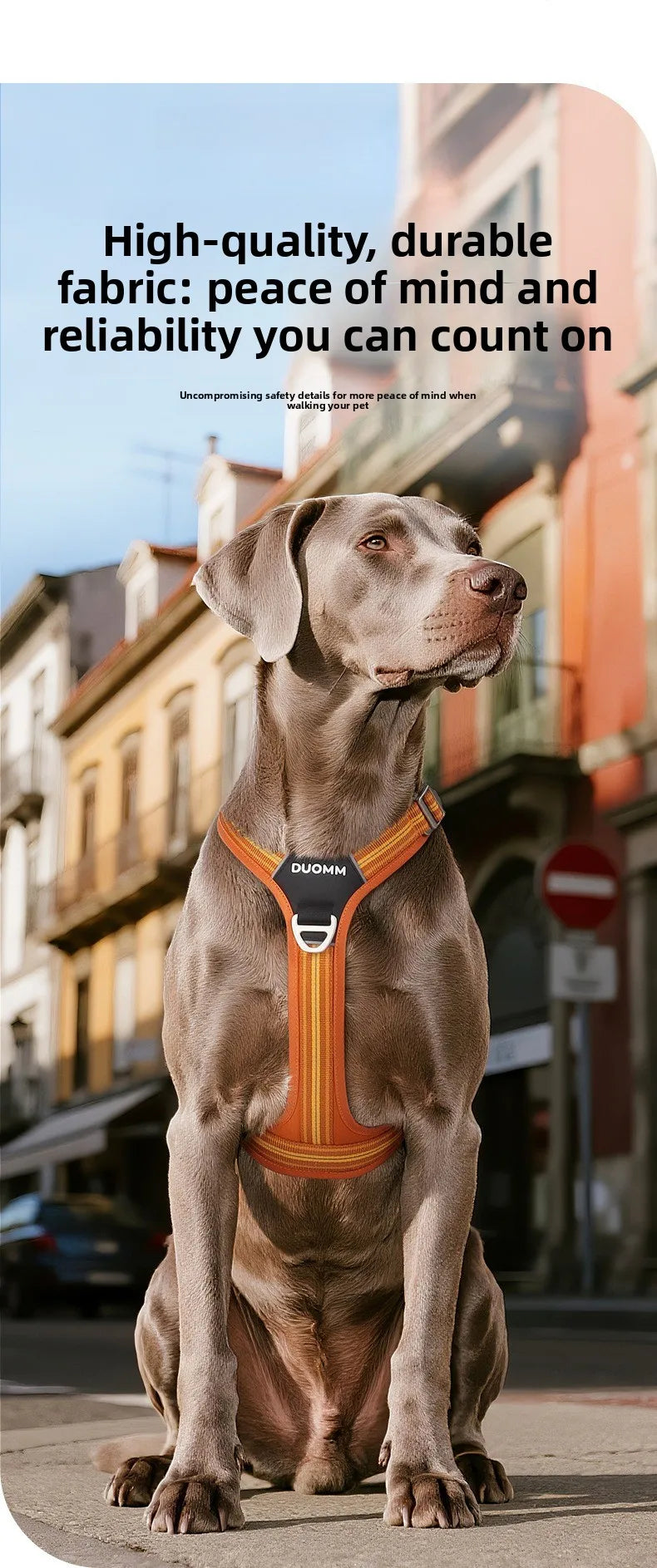 Car Safety Dog Harness: No-Pull, Reflective & Adjustable