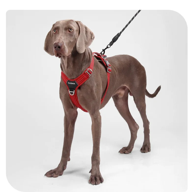 Car Safety Dog Harness: No-Pull, Reflective & Adjustable