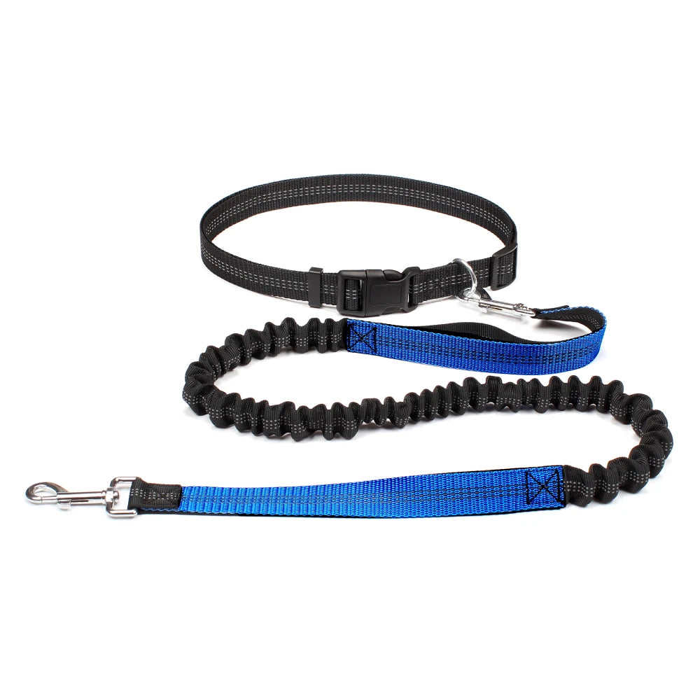 Hands-Free Dog Leash with Waist Belt - Adjustable Running & Jogging Lead