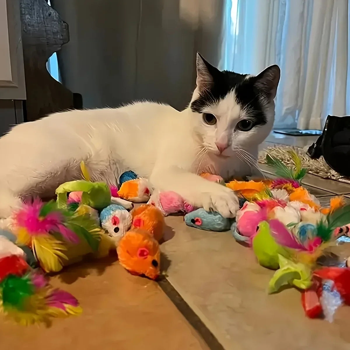 Cat Toys Variety Pack – 14, 28 & 56 Piece Interactive Toy Set for Cats & Kittens