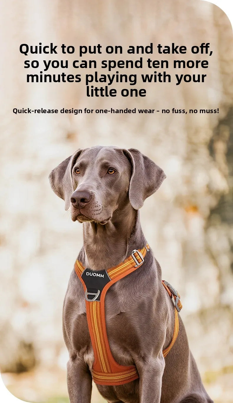 Car Safety Dog Harness: No-Pull, Reflective & Adjustable