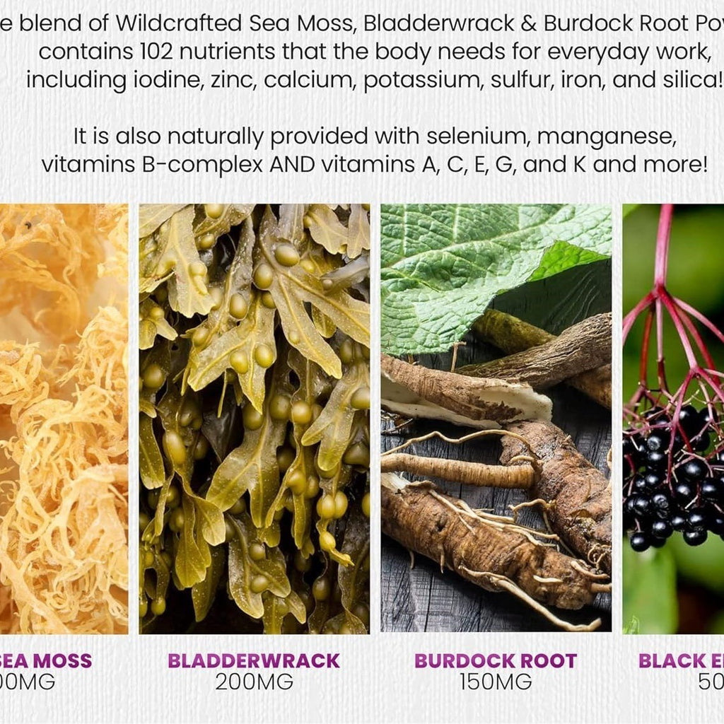 Seaweed Gummies - PULSE MART